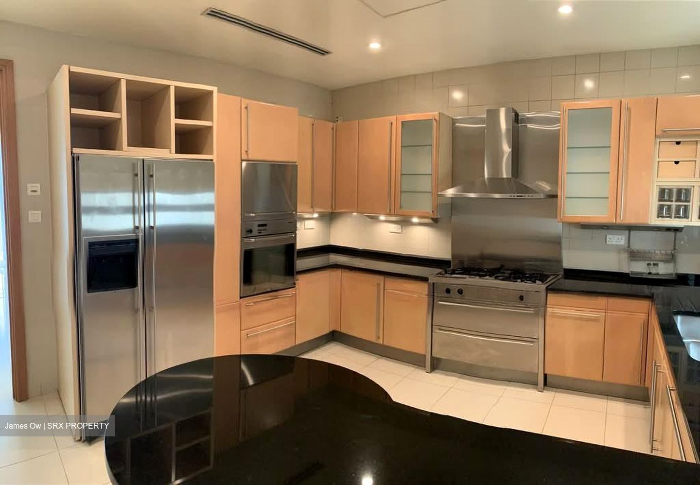 Ardmore Park (D10), Condominium #552996251